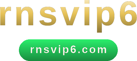 rnsvip6 logo